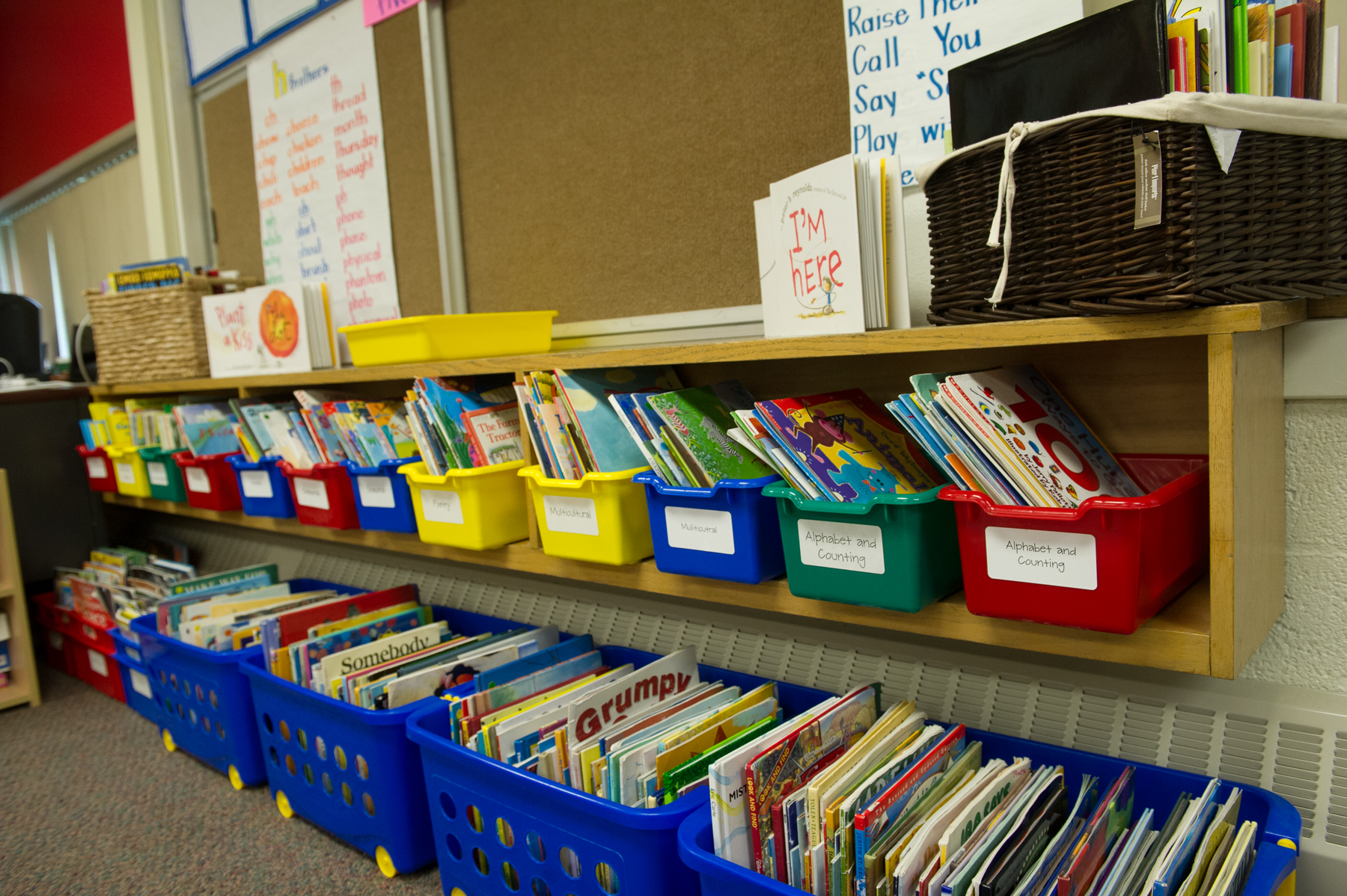 Our Classroom Library: Reflections