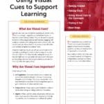 Using Visual Cues to Support Learning