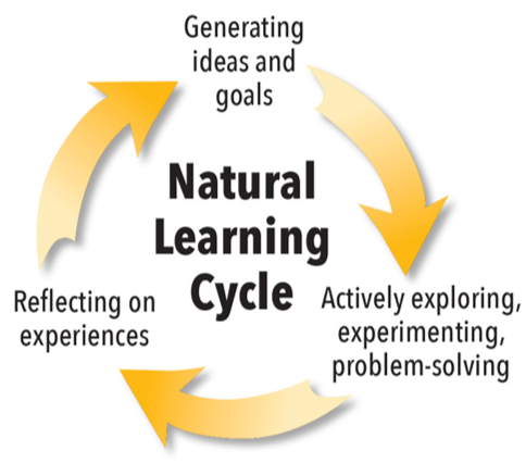 Natural Learning Cycle