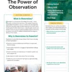 Quick Coaching Guide: The Power of Observation