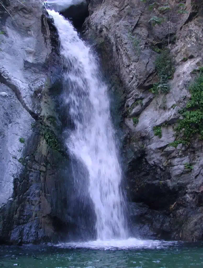 In Person | Altadena, CA